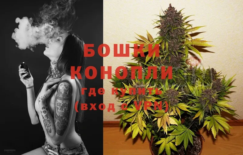 где продают наркотики  MEGA маркетплейс  МАРИХУАНА Ganja  Скопин 